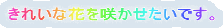ꂢȉԂ炩łB
